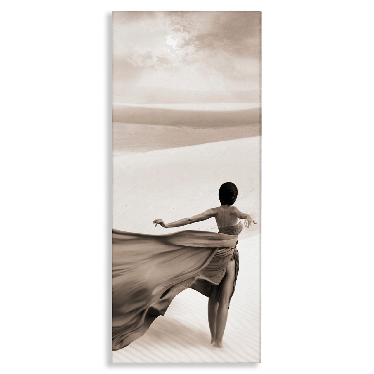 Stupell Industries Billowing Dress in Desert Canvas Wall Art Design by Reinders